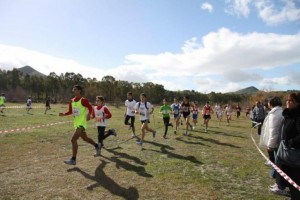 b208182456855b5680dad1bcd630c63f_L