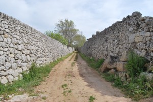 muri-a-secco_20090605_1916818273