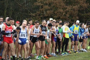 siiiiiiiiiiiiiiiiiiiiiiiiiiiiiiiiiiii