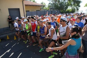 1016656_531292430264761_1595964855_n