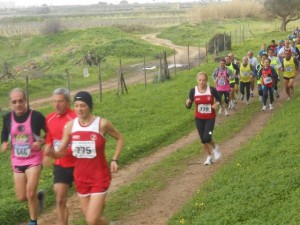 71809_343023715812285_1576368137_n