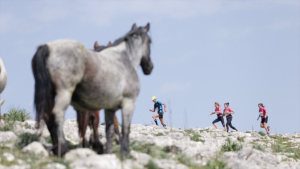 palazzo adriano frame 2 (Copia)