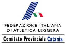 logo_2013_fidalct