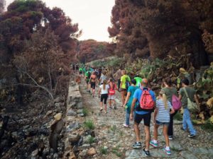 13686719_10209211066824383_5357959246136092712_n (1)