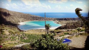 13709462_10210133866814073_1590699798_o