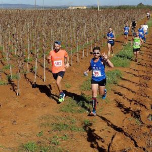 15056577_158218617980376_4346374631444185088_n