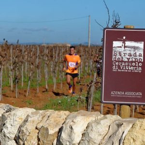 15056699_1881010152129381_3427072766187143168_n