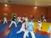 Allenamenti Judo Karate