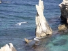 img_7542-copia