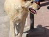 img_7569-copia