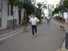 sam_1049-copia
