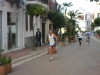 sam_1061-copia