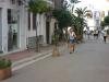 sam_1072-copia